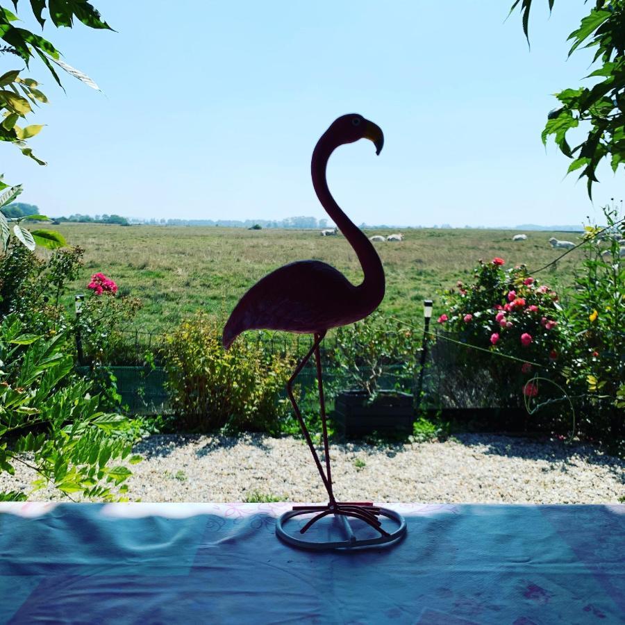 Chalet Bord De Mer 6 Couchages Βίλα Merville-Franceville-Plage Εξωτερικό φωτογραφία